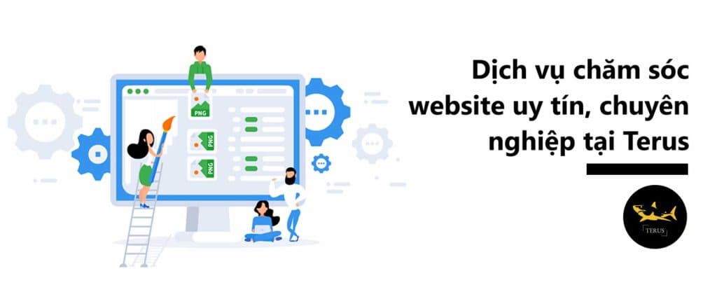 cham-soc-website-la-gi-1024x427